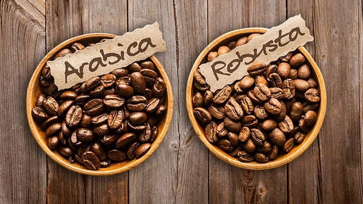 Perbedaan Esensial antara Kopi Robusta dan Arabika yang Harus Kamu Tahu!